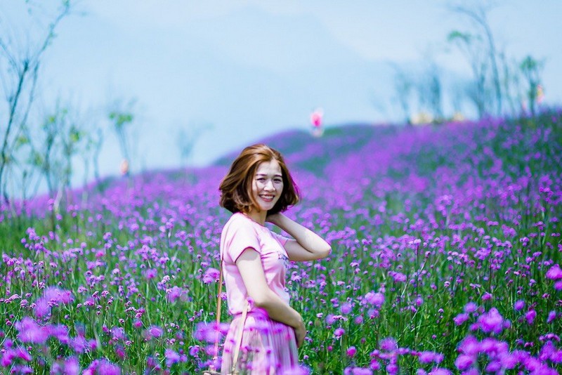 Tạp chí Du lịch Wanderlust Tips | Đến Sa Pa tháng 6, ngây ngất vườn oải hương thảo khoe sắc tím