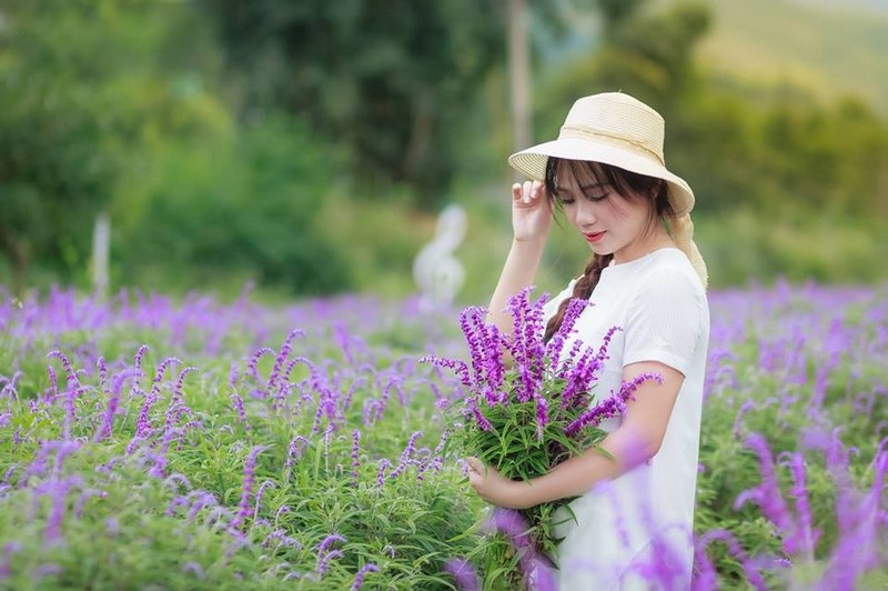 Tạp chí Du lịch Wanderlust Tips | Đến Sa Pa tháng 6, ngây ngất vườn oải hương thảo khoe sắc tím