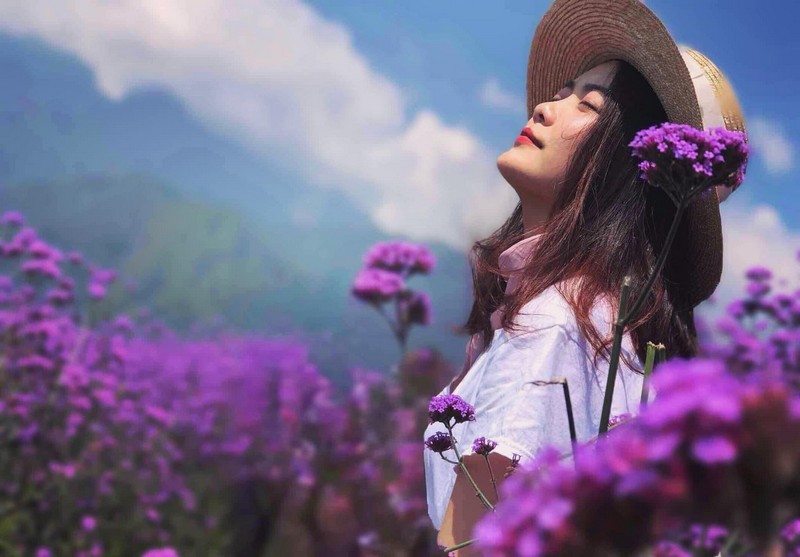 wanderlust tips den sa pa thang 6 ngay ngat vuon oai huong thao khoe sac tim 5