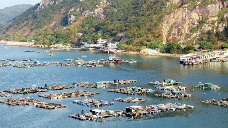 Tạp chí Du lịch Wanderlust Tips | Du lịch Hồng Kông: Một ngày làm ngư dân ở Lamma Fisherfolk