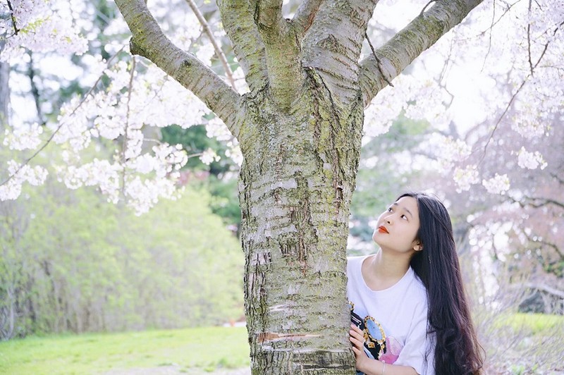 wanderlust tips hot girl xu nghe thanh xuan cua toi gui lai toronto canada 5