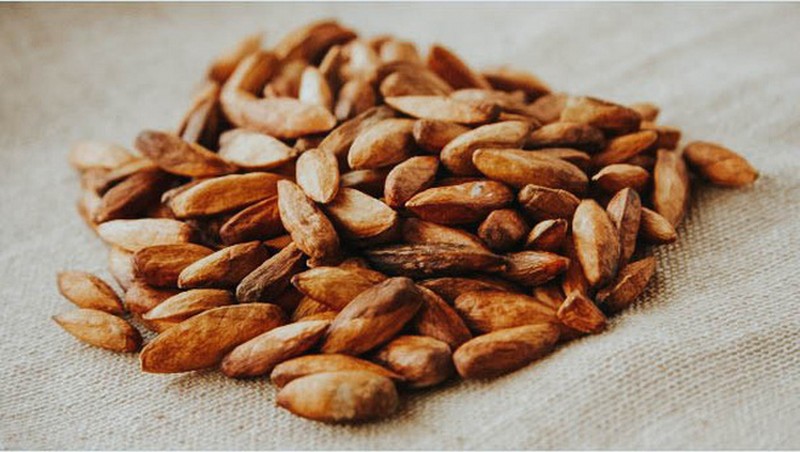 wanderlust tips mut hat bang mon dac san in dam dau an con dao 2