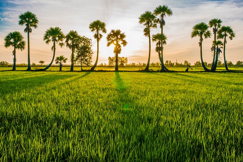 Nếm bánh Kà Tum, nhớ mãi An Giang 5 Tạp chí Du lịch Wanderlust Tips | Nếm bánh Kà Tum, nhớ mãi An Giang