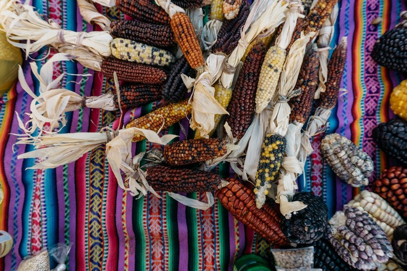 Tạp chí Du lịch Wanderlust Tips | Thích mê những món đồ đặc biệt khi du lịch Peru