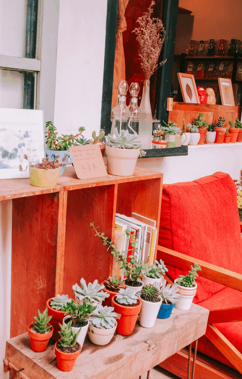 Thời Thanh Xuân: Quán trà lưu giữ khoảnh khắc tuổi trẻ 8 wanderlust tips thoi thanh xuan quan tra luu giu tuoi tre 4