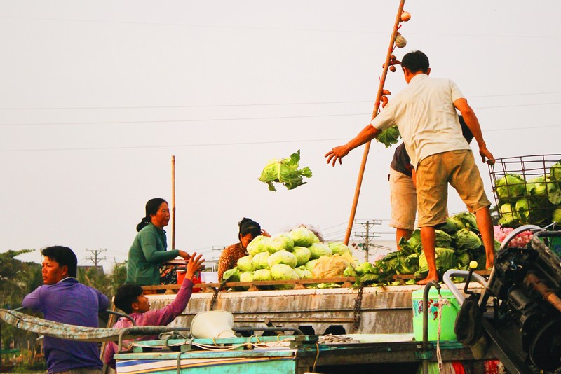 Tạp chí Du lịch Wanderlust Tips | Say đắm Cần Thơ "gạo trắng nước trong"