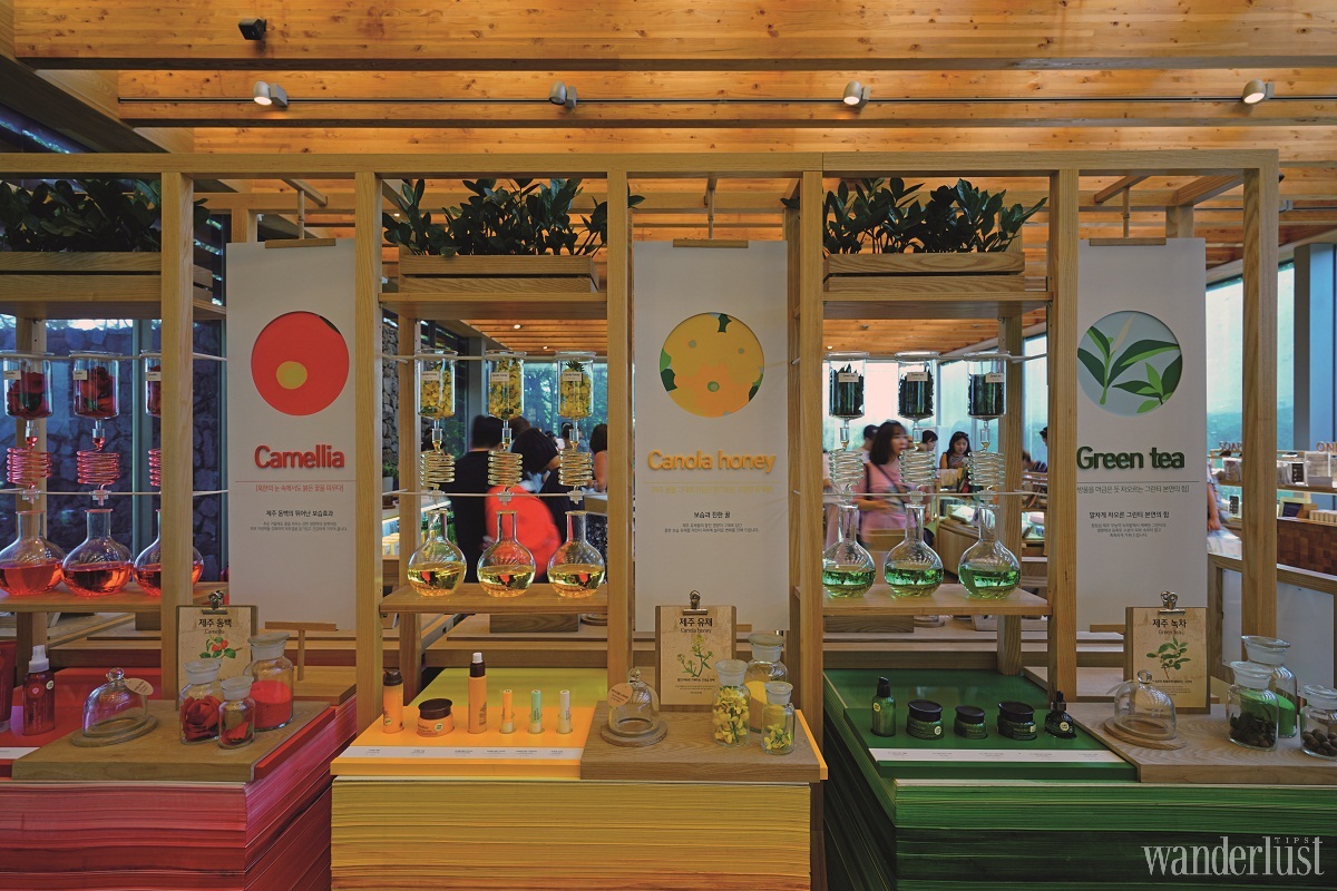 Du lịch Jeju: Khám phá hòn đảo của những huyền thoại 9 Tạp chí Du lịch Wanderlust Tips Du lịch Jeju: Khám phá hòn đảo của những huyền thoại