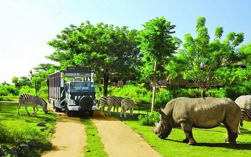 Những điểm du lịch safari ở Đông Nam Á 5 tập chí wanderlust du lịch safari