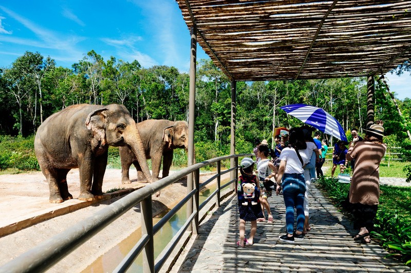 tạp chí wanderlust tips du lịch safari
