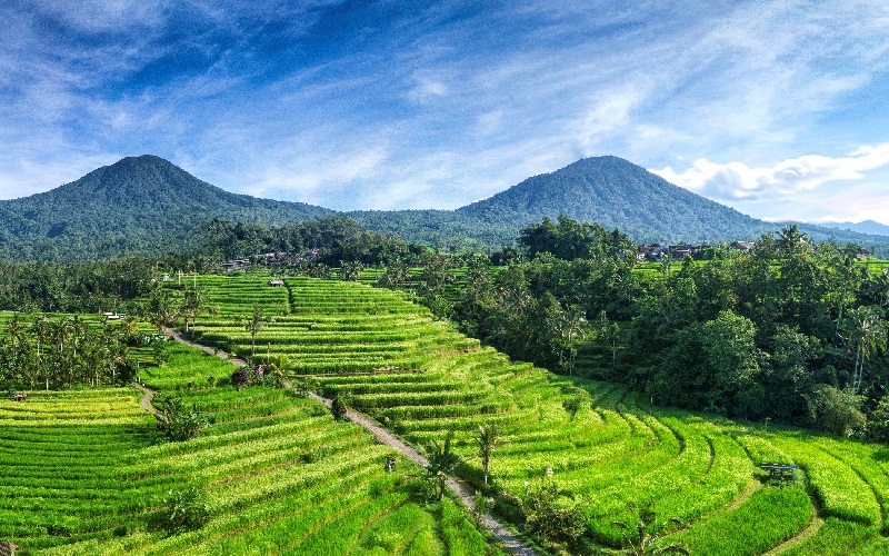 Kinh nghiệm khám phá ruộng bậc thang Jatiluwih, Bali 5 Wanderlust Tips kinh nghiem kham pha ruong bac thang Jatiluwih bali 12