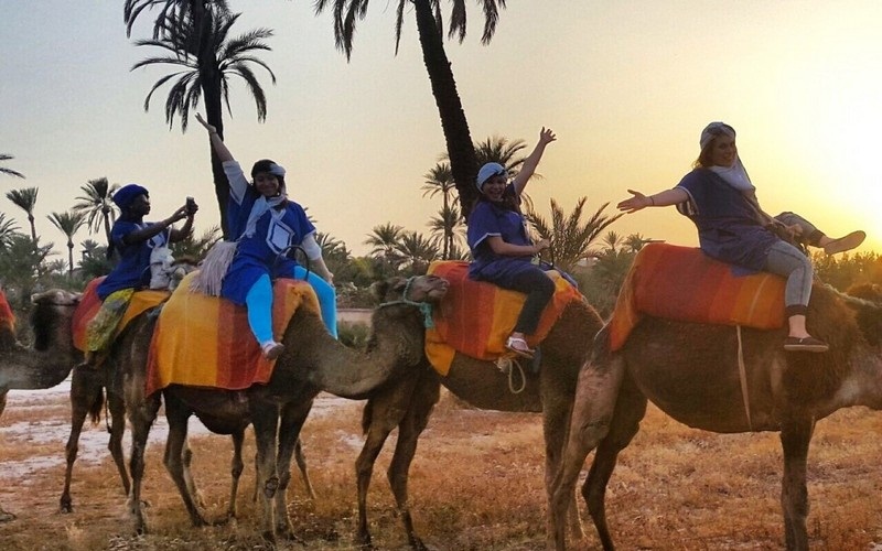 Ngắm nhìn hoàng hôn Morocco lãng mạn trên lưng lạc đà Ngắm nhìn hoàng hôn Morocco lãng mạn trên lưng lạc đà
