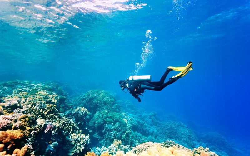 Những phụ kiện công nghệ nên có cho hành trình khám phá biển khơi 5 Wanderlust Tips nhung phu kien cong nghe nen co cho hanh trinh kham pha bien khoi 04