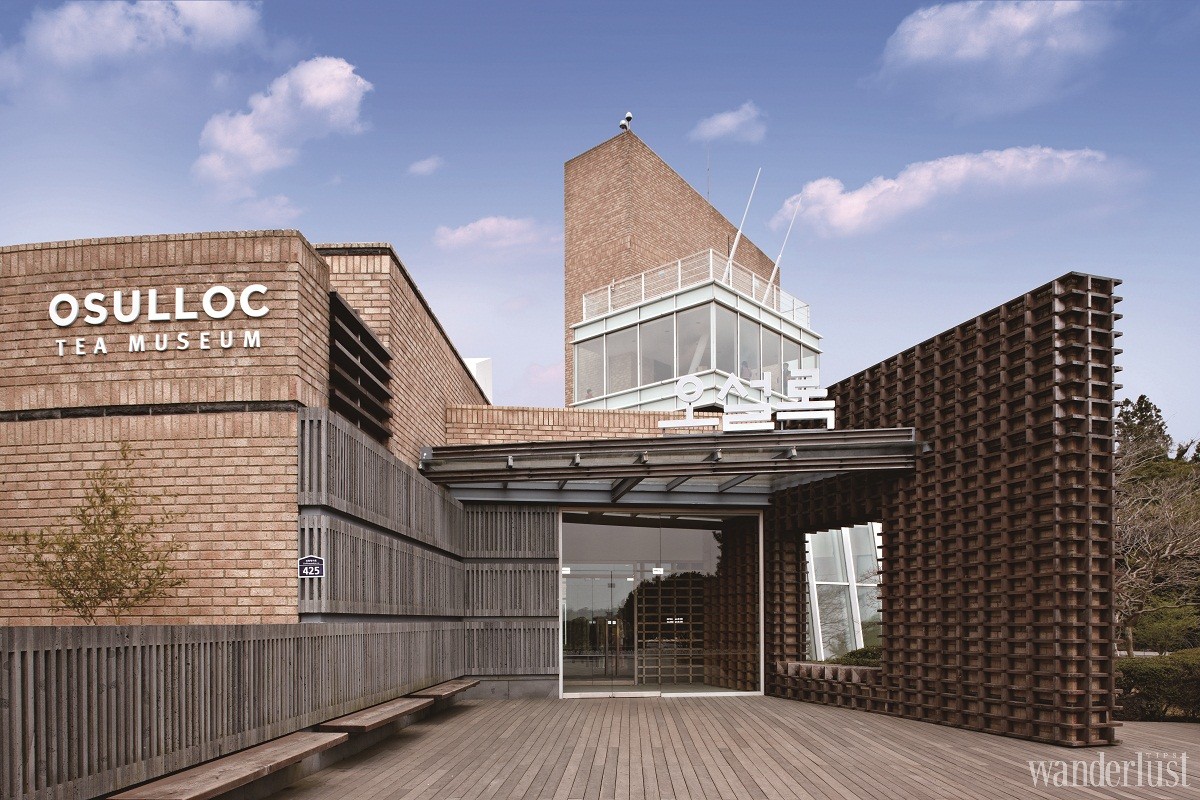 Trà đạo: Văn hoá tinh thần của người Hàn Quốc 10 Wanderlust Tips tra dao va van hoa tinh than cua nguoi han quoc 05