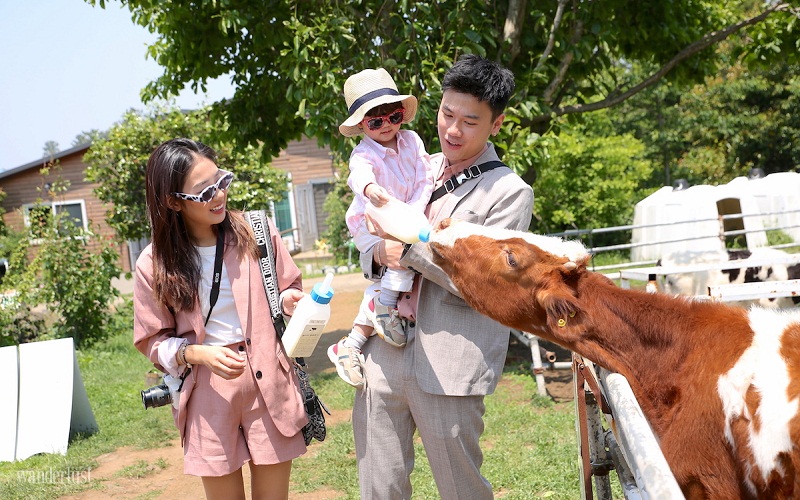 9 lời khuyên hữu ích khi đi du lịch Hàn Quốc cùng trẻ nhỏ