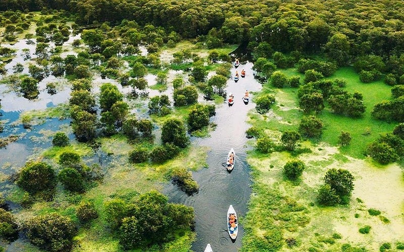 Cẩm nang du lịch rừng tràm Trà Sư, An Giang Cẩm nang du lịch rừng tràm Trà Sư, An Giang