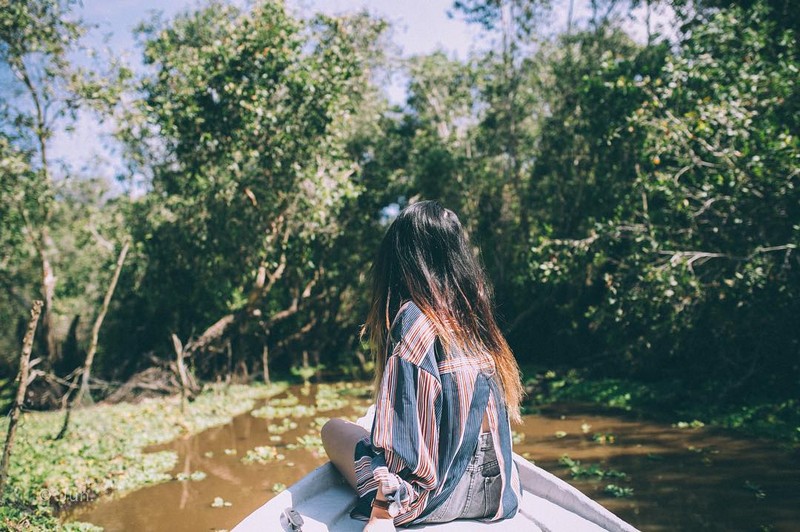 wanderlust tips cam nang du lich rung tram tra su an giang 2