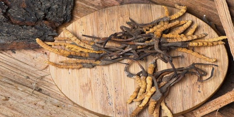 Tạp chí Du lịch Wanderlust Tips | Độc đáo những món quà lưu niệm tại Tây Tạng