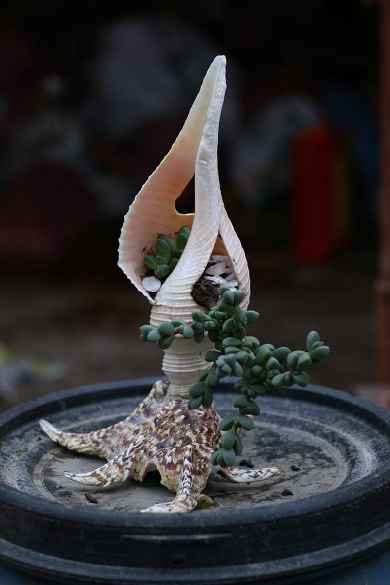 Gợi ý những món quà ấn tượng khi du lịch Đà Nẵng 9 wanderlust tips goi y nhung mon qua an tuong khi du lich da nang 3