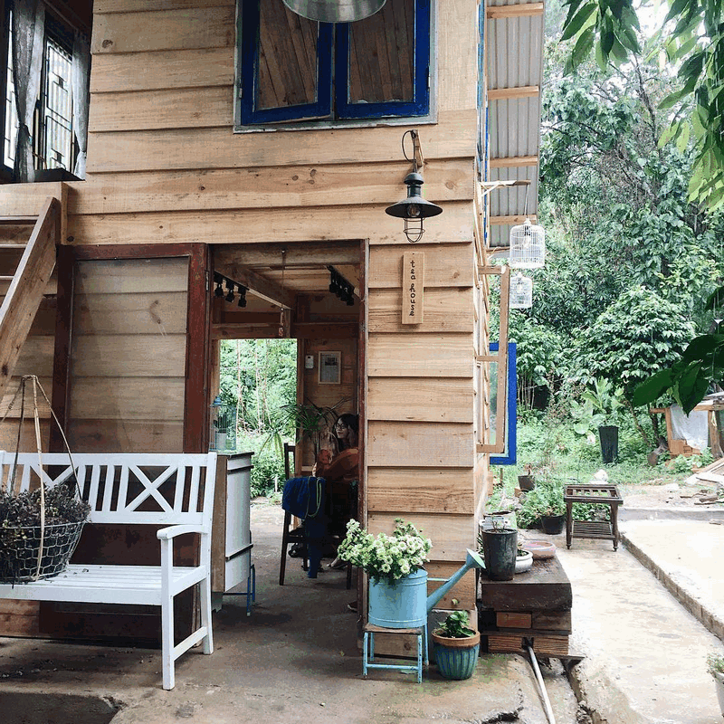 wanderlust tips thoi thanh xuan quan tra luu giu tuoi tre 7