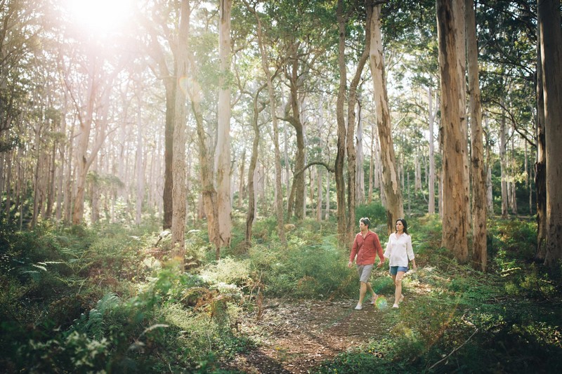 Tạp chí Du lịch Wanderlust Tips Bỏ túi kinh nghiệm khám phá khu vực Margaret River, Úc