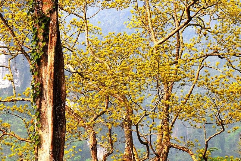 Tạp chí Du lịch Wanderlust Tips Du lịch Lâm Bình: Khám phá điểm du lịch mới nổi của Tuyên Quang