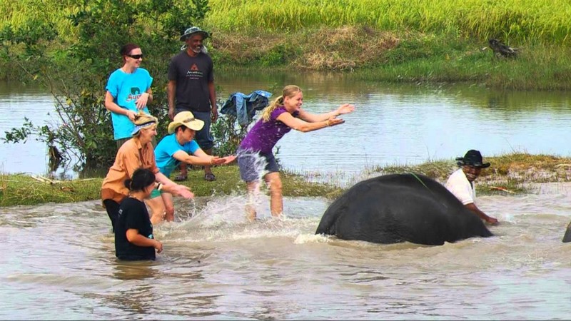 Du lịch Surin, về với vùng đất giao hòa của lịch sử và truyền thống 13 Tạp chí Du lịch Wanderlust Tips Du lịch Surin, về với vùng đất giao hòa của lịch sử và truyền thống