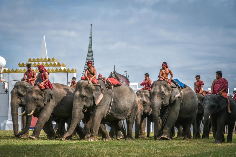 Du lịch Surin, về với vùng đất giao hòa của lịch sử và truyền thống 8 Tạp chí Du lịch Wanderlust Tips Du lịch Surin, về với vùng đất giao hòa của lịch sử và truyền thống