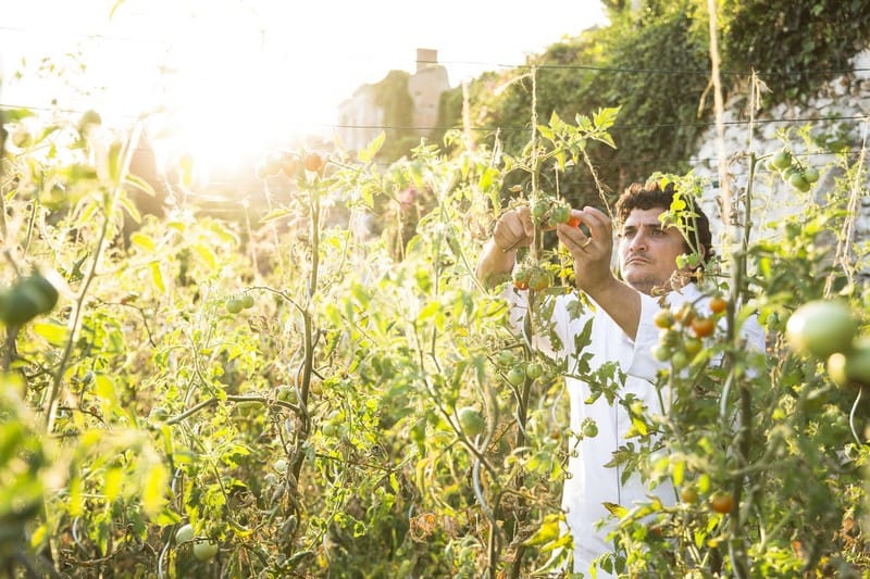 Nhà hàng Mirazur: Nơi giao hòa giữa biển, núi và vườn 6 Tạp chí Du lịch Wanderlust Tips Nhà hàng Mirazur: Nơi giao hòa giữa biển, núi và vườn