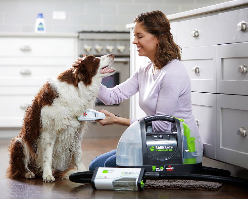 Những phụ kiện dành riêng cho hành trình du lịch với thú cưng 9 Wanderlust Tips nhung phu kien danh rieng cho hanh trinh du lich voi thu cung 02