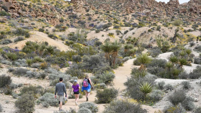 tạp chí wanderlust tips Khám phá địa điểm quay MV triệu view “hãy trao cho anh”