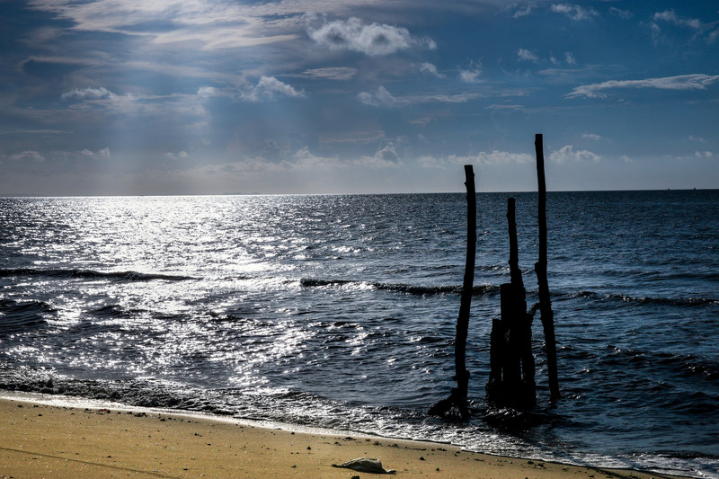 Tạp chí Du lịch Wanderlust Tips | Cẩm nang du lịch Trà Cổ, Quảng Ninh vào mùa hè