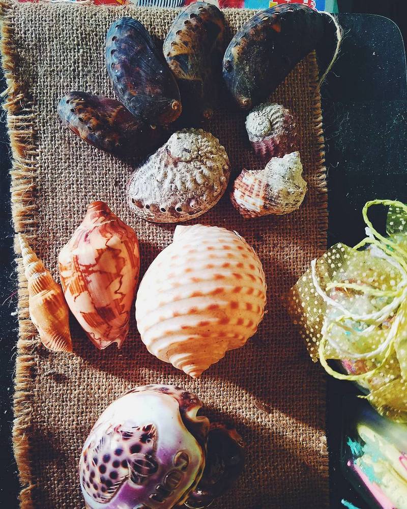 wanderlust tips cam nang du lich tra co quang ninh mua he 2019 3