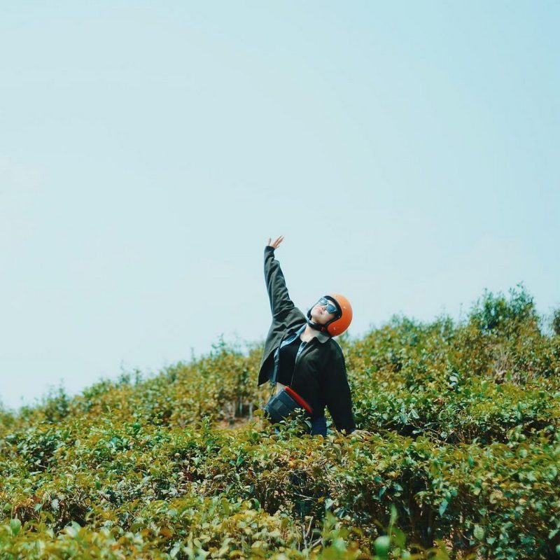 wanderlust tips check in doi che dong giang quang nam dep nhu tranh 1