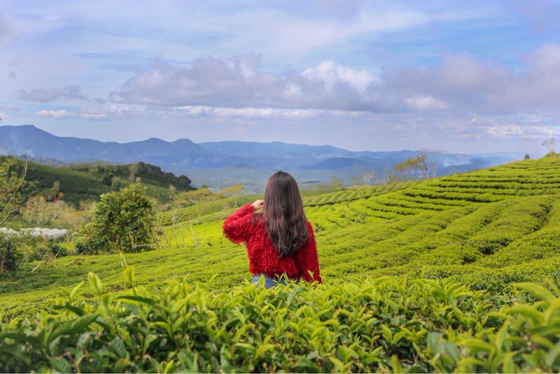 Tạp chí Du lịch Wanderlust Tips | Dạo chơi ở đồi chè Đông Giang, Quảng Nam đẹp như tranh vẽ