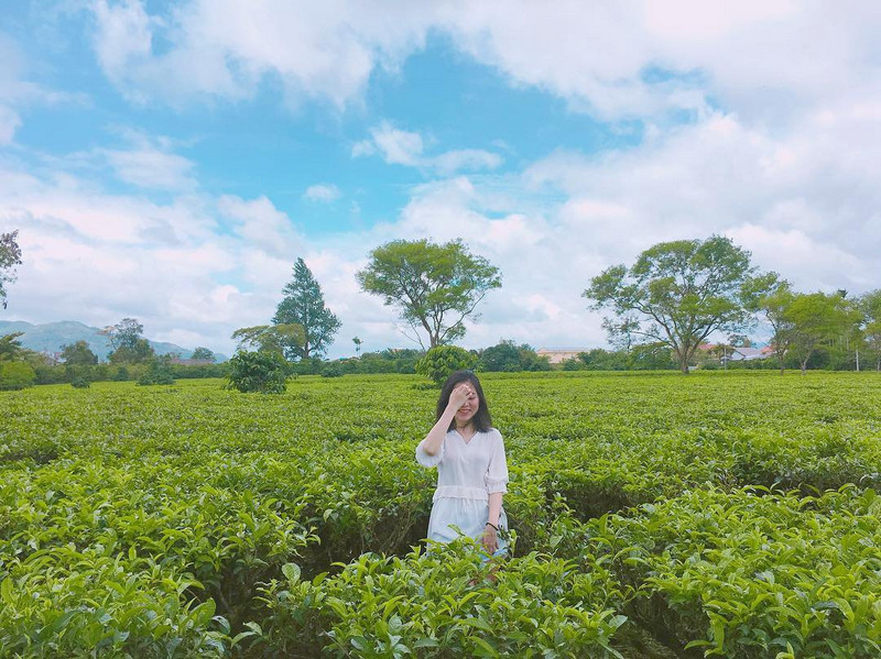 Tạp chí Du lịch Wanderlust Tips | Dạo chơi ở đồi chè Đông Giang, Quảng Nam đẹp như tranh vẽ