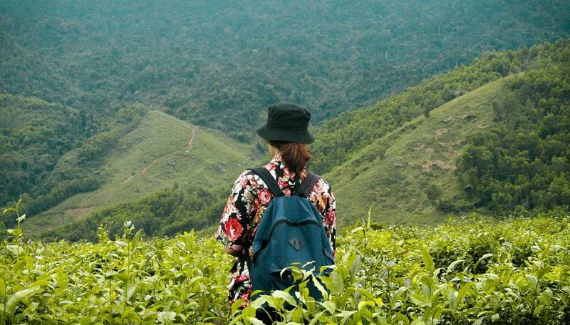 wanderlust tips check in doi che dong giang quang nam dep nhu tranh 8