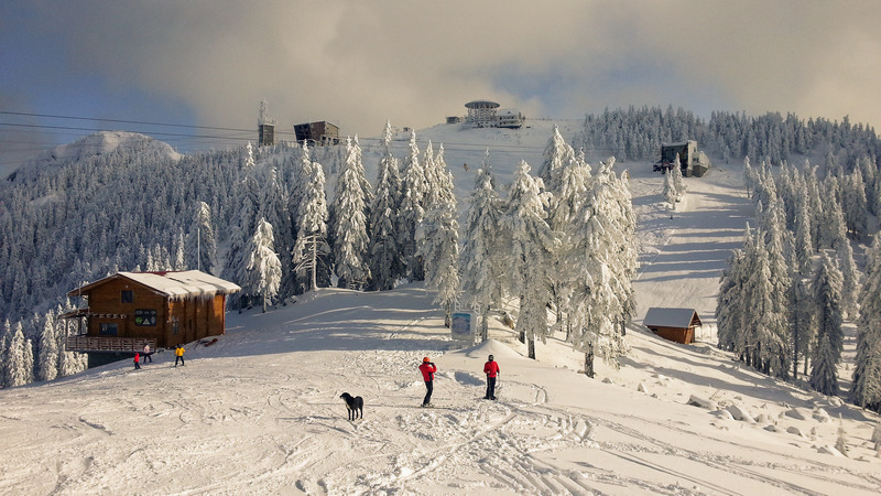 wanderlust tips co mot romania voi nhung trai nghiem an tuong dang cho ban 7