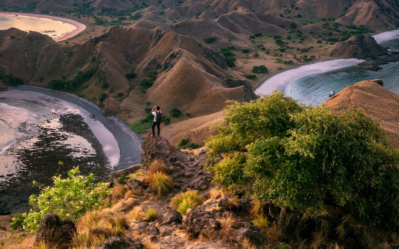 Tạp chí Du lịch Wanderlust Tips | Đảo rồng Komodo chính thức đóng cửa từ đầu năm 2020