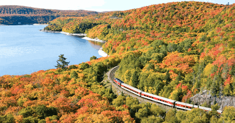 Du lịch Canada chiêm ngưỡng những rừng phong đẹp lịm tim 7 wanderlust tips du lich canada chiem nguong nhung rung phong dep lim tim 1