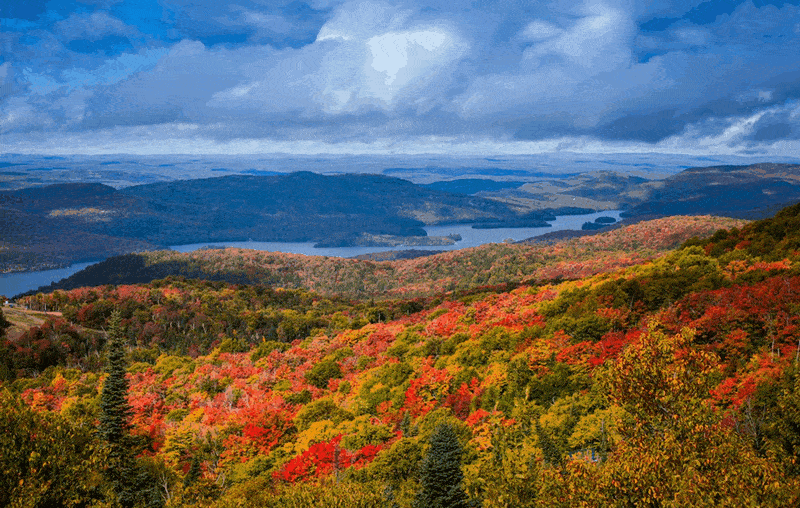 Du lịch Canada chiêm ngưỡng những rừng phong đẹp lịm tim 9 wanderlust tips du lich canada chiem nguong nhung rung phong dep lim tim 4