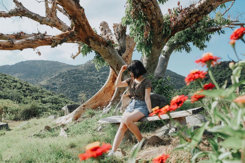 Tạp chí Du lịch Wanderlust Tips | Hành trình Phú Yên: Lắng nghe bản tình ca của nắng và gió