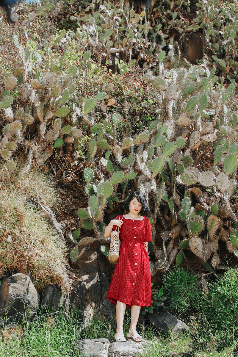 wanderlust tips hanh trinh den phu yen lang nghe ban tinh ca cua nang va gio 5 1