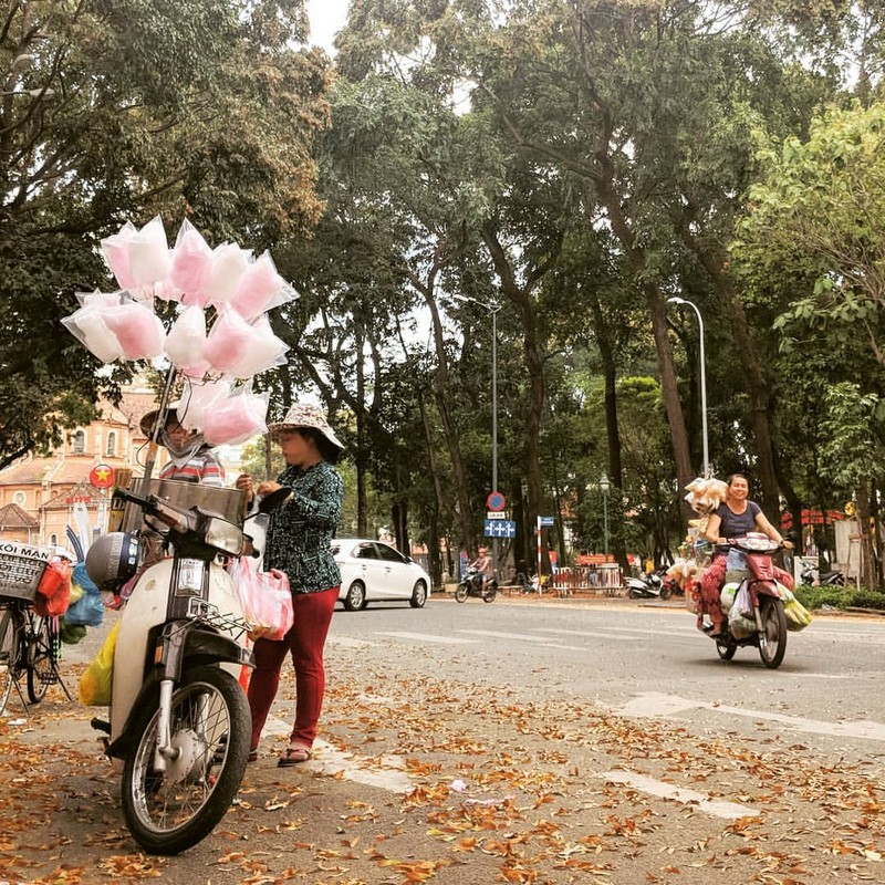 tạp chí wanderlust tips kẹo bông cô tiên