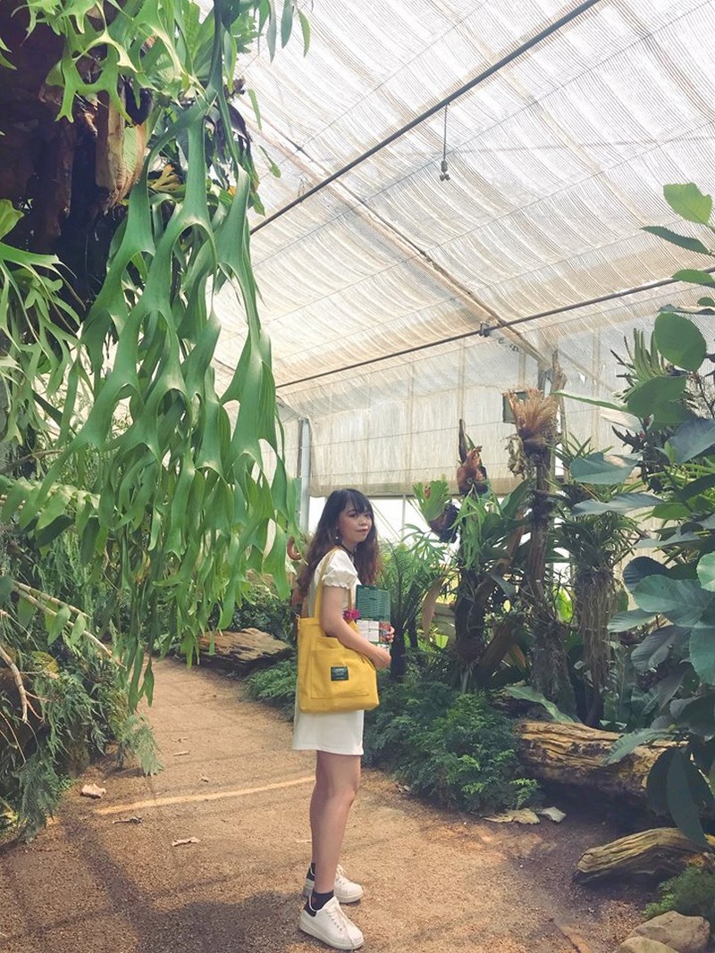 Kỷ niệm chuyến đi Chiang Mai của cô gái 9X Hà thành 7 Tạp chí Du lịch Wanderlust Tips | Kỷ niệm chuyến đi Chiang Mai, Thái Lan của cô gái 9X Hà thành