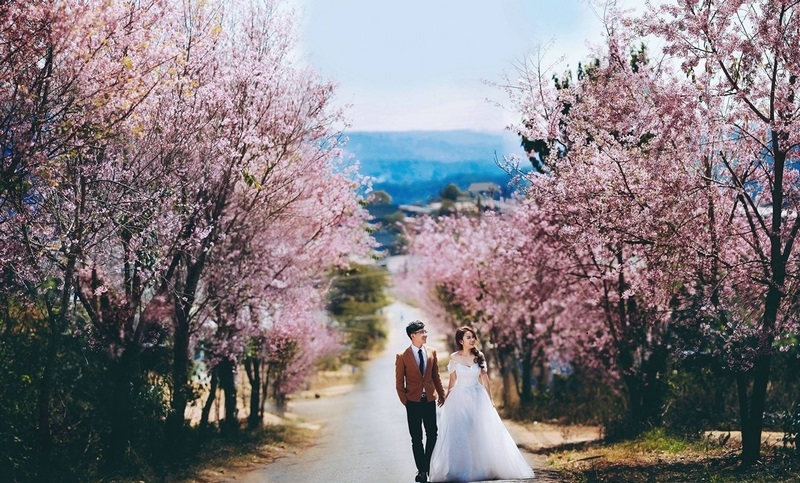 wanderlust tips toi tha troi noi buon tren nhung con doc o da lat 3