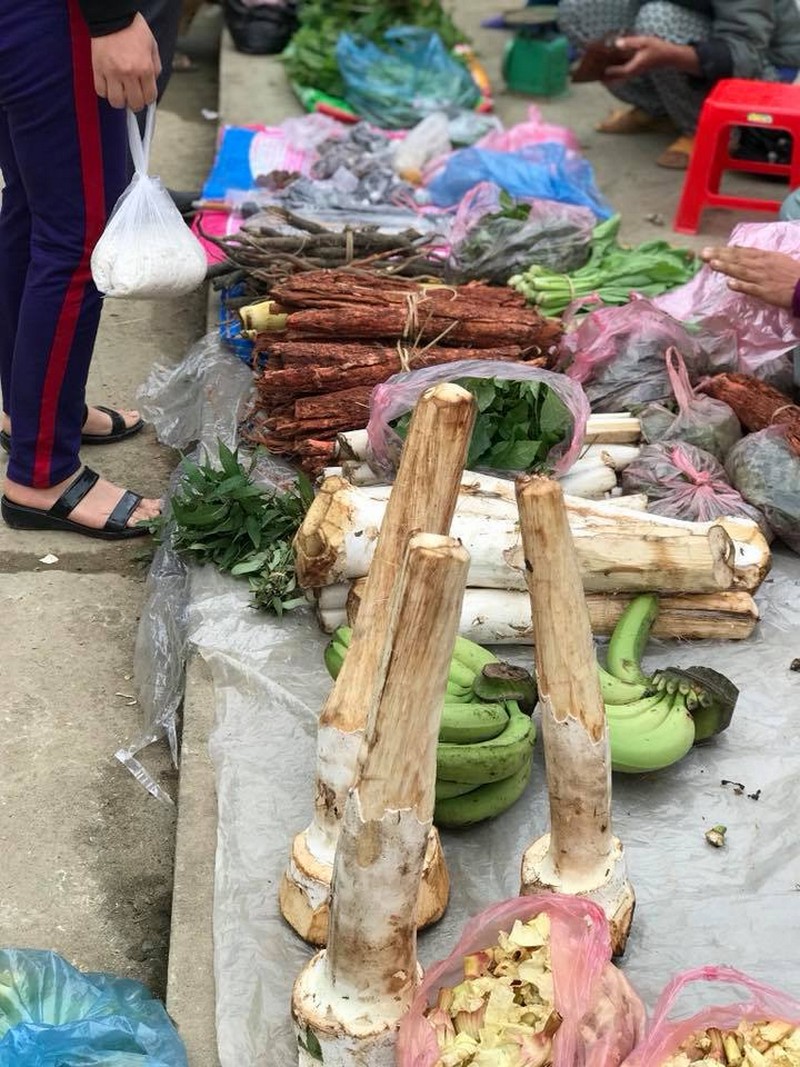 Wanderlust Tips du lich lam binh kham pha diem du lich moi noi cua tuyen quang 03