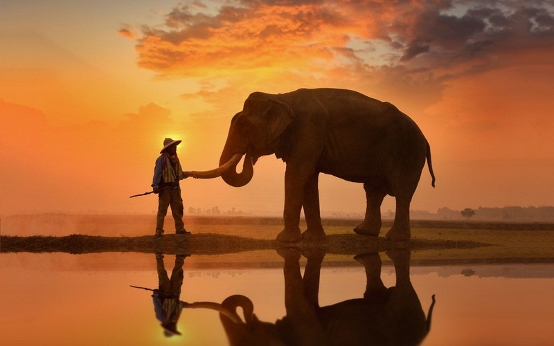 Du lịch Surin, về với vùng đất giao hòa của lịch sử và truyền thống 5 Wanderlust Tips du lich surin vung dat giao hoa lich su va truyen thong 01 1
