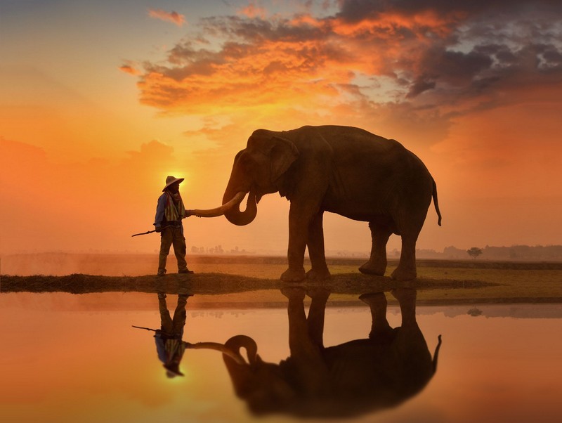 Tạp chí Du lịch Wanderlust Tips Du lịch Surin, về với vùng đất giao hòa của lịch sử và truyền thống