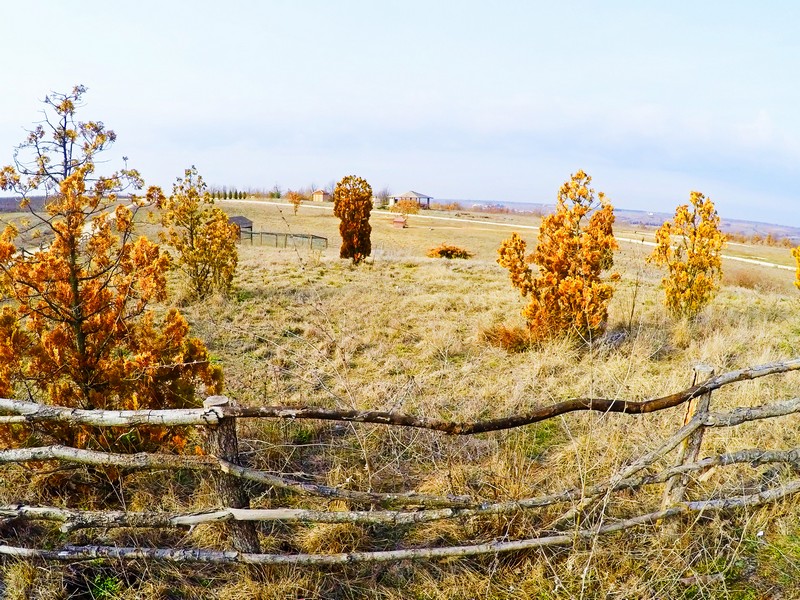 Wanderlust Tips kham pha tho nhi ky manh dat cua hai chau luc 02