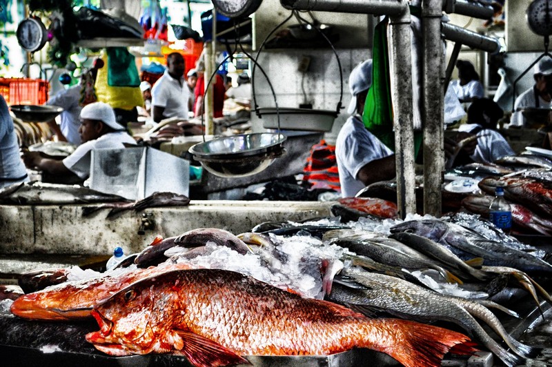 Tạp chí Du lịch Wanderlust Tips Những khu chợ truyền thống phải ghé khi đến thăm thành phố Panama